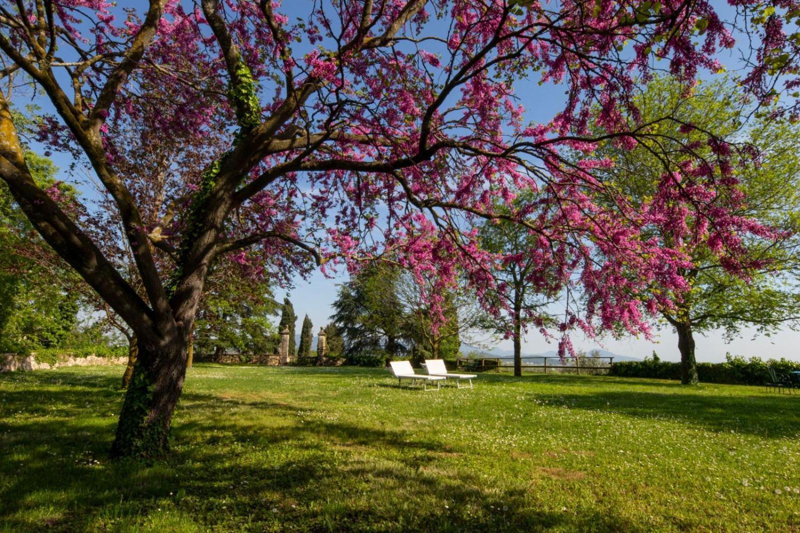 Il Castello Villa Barbarano Vicentino ภายนอก รูปภาพ